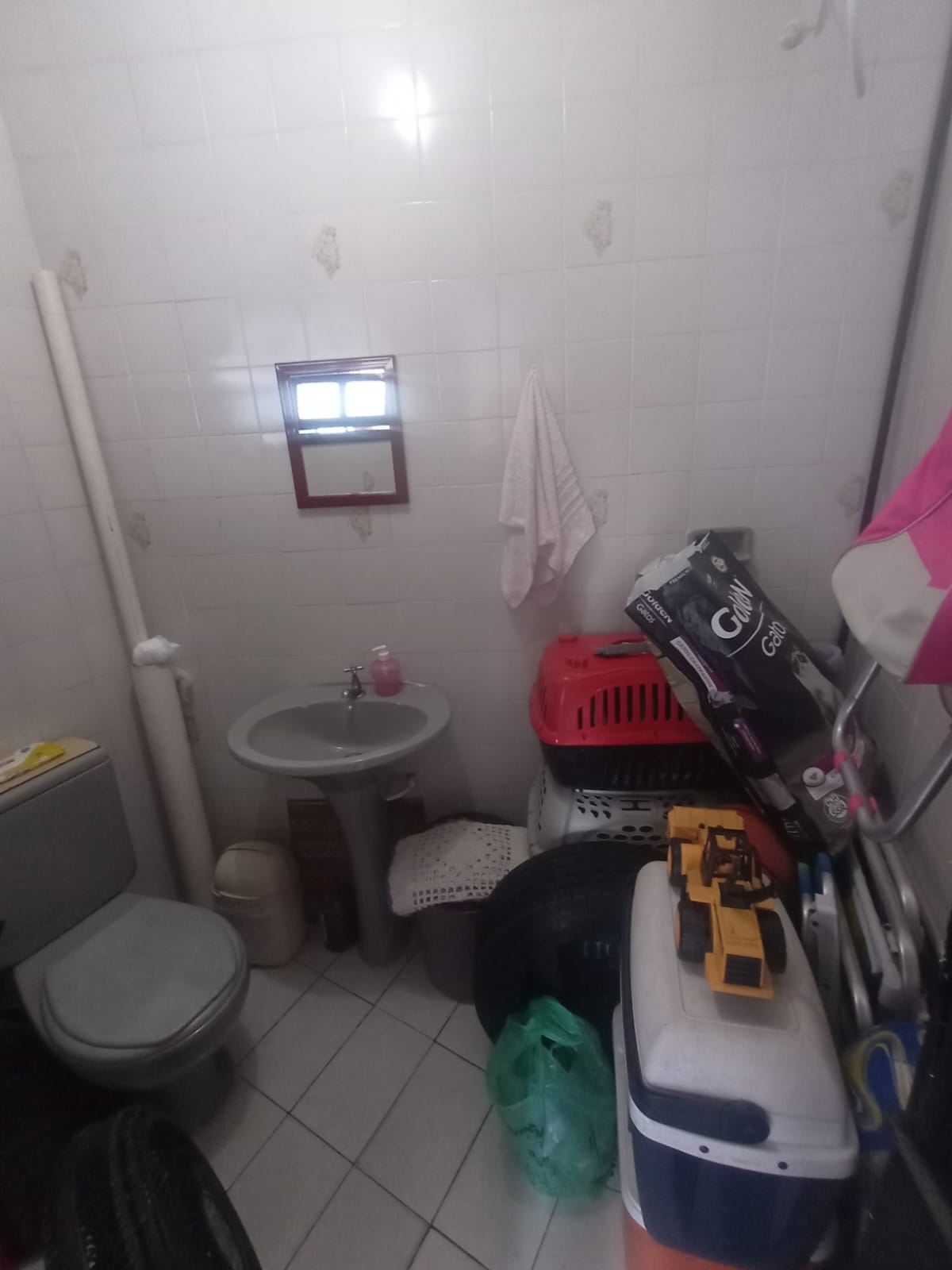 PHOTO-2026-02-12-01-17-23 (3)