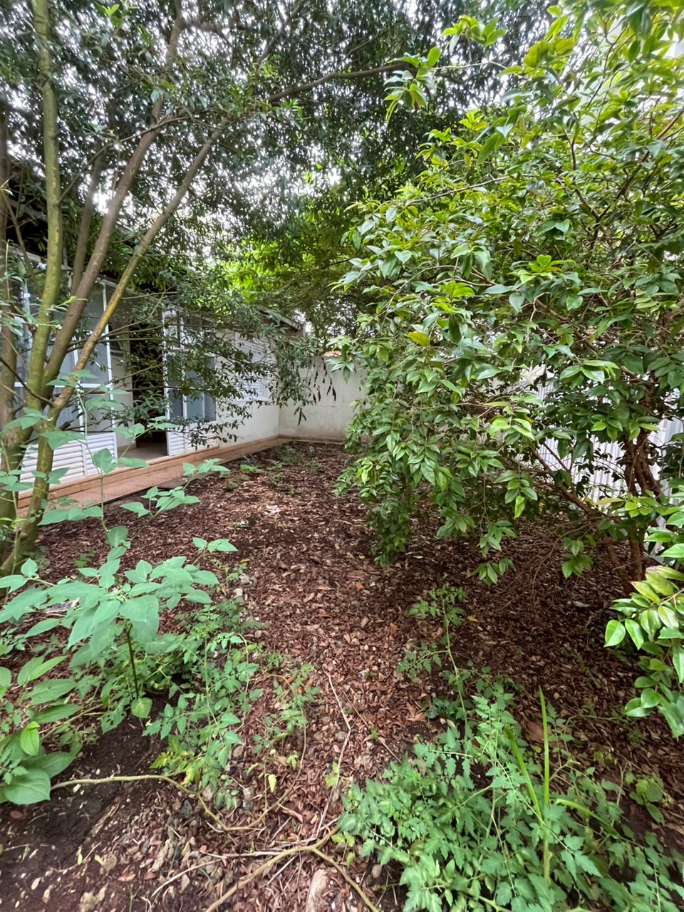 PHOTO-2026-02-24-11-28-58 (1)