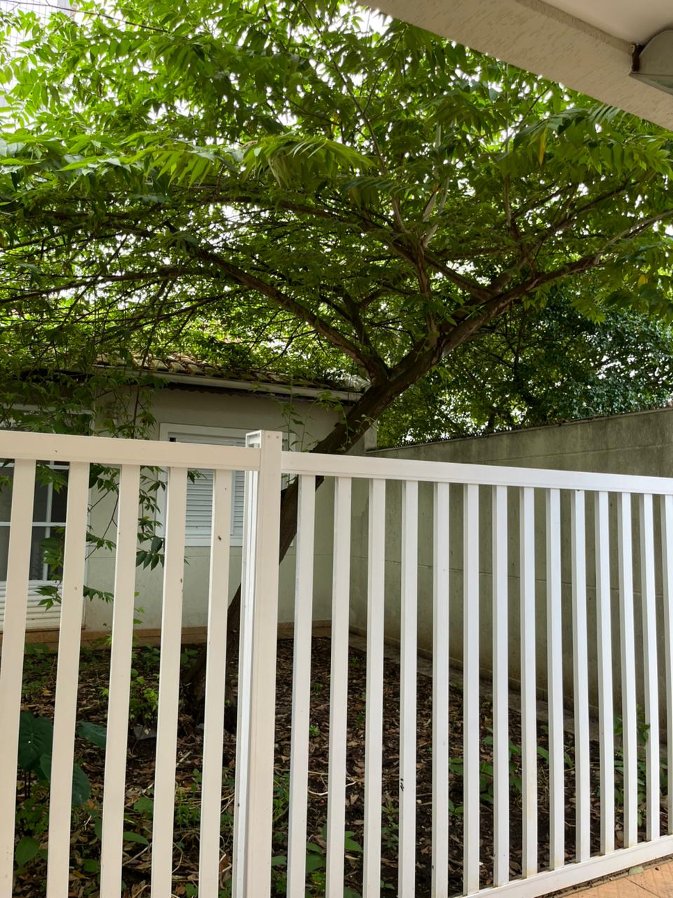 PHOTO-2026-02-24-11-28-59 (1)